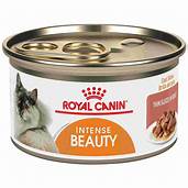 intense beauty royal canin