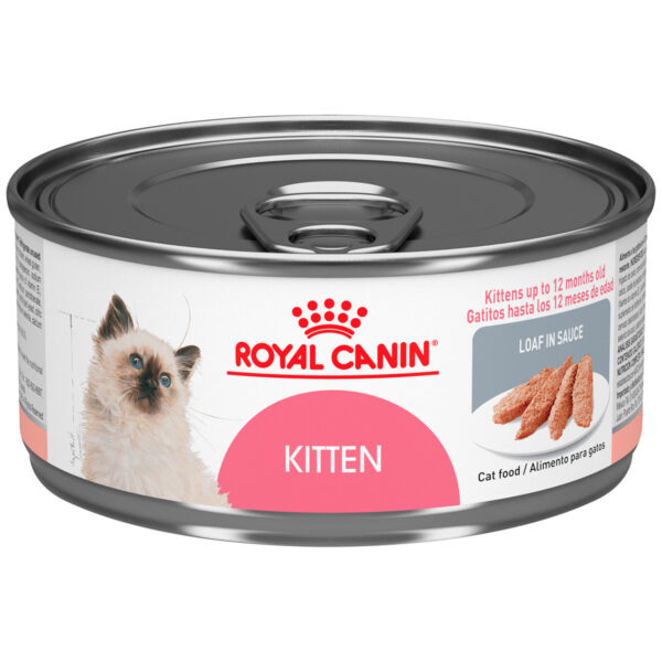 Kitten Lata royal canin